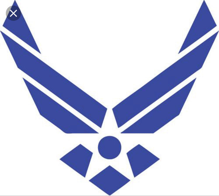 Special American Wooden Flag Air Force Emblem Charred Rustic Decor